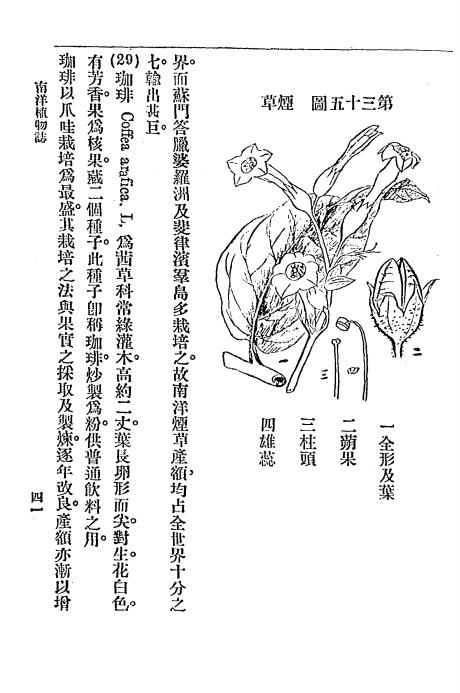 《南洋植物志》吴元涤著-暨南学校-民国8[1919]-pdf古籍下载插图3