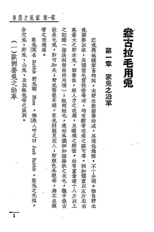 盎古拉毛用兔-冯焕文-中国农业学社插图1