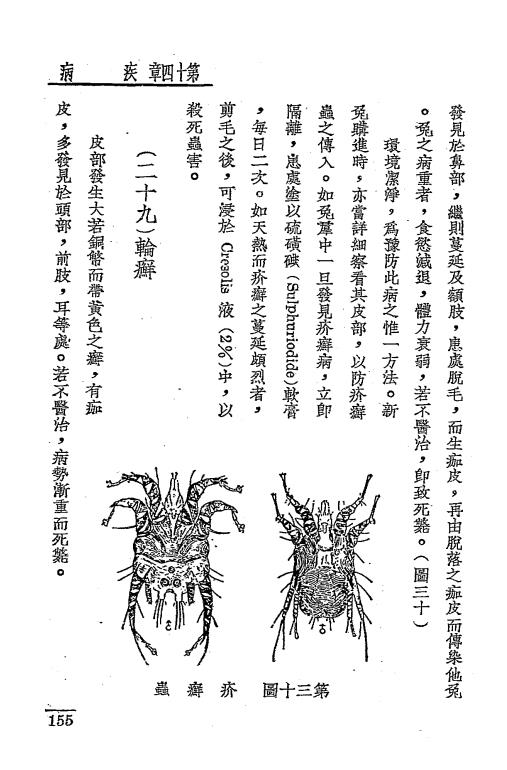 盎古拉毛用兔-冯焕文-中国农业学社插图3