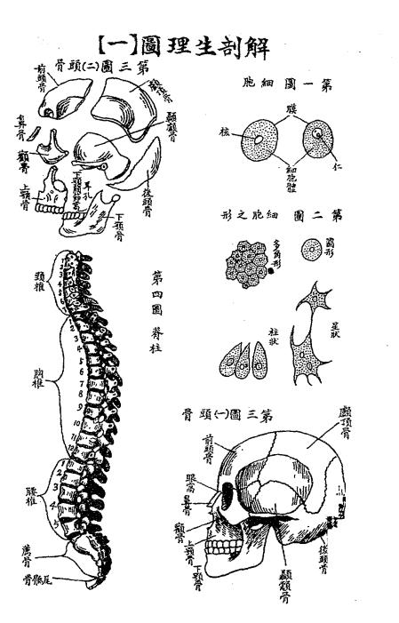 学医初步-顾鸣盛编辑插图2