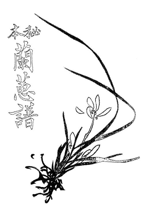 秘本兰蕙谱-兰蕙研究会编辑插图