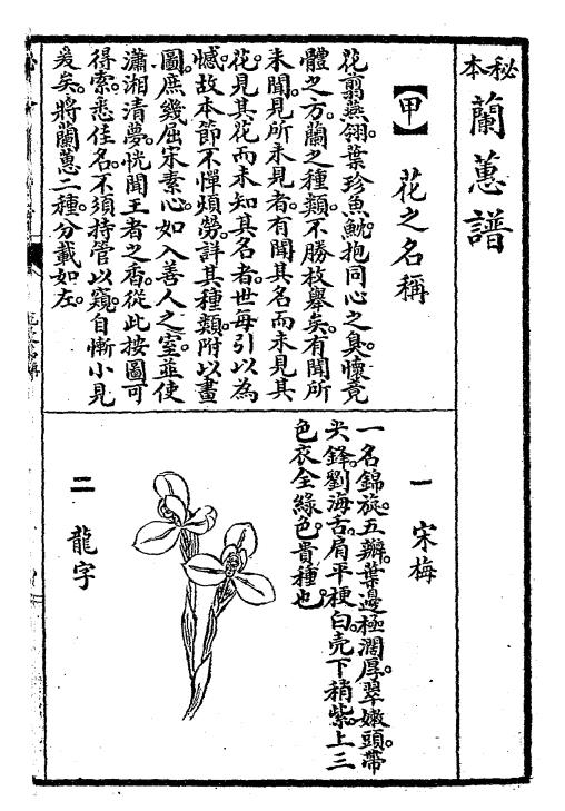 秘本兰蕙谱-兰蕙研究会编辑插图2