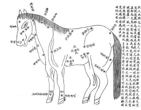 马场宝筏-李明宣著插图3
