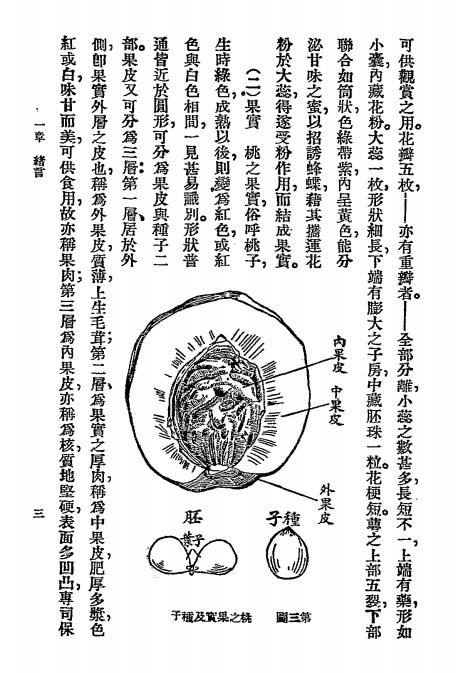种桃法-许心芸编-商务印书馆插图3