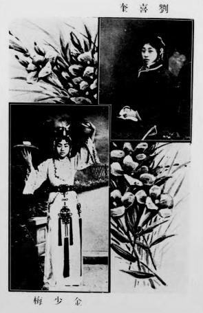 坤伶艳史-孙耨尘,许廑父编著-上海宏文图书馆插图3