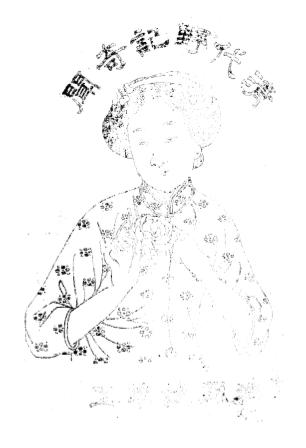 清代野记奇闻-著者不详插图
