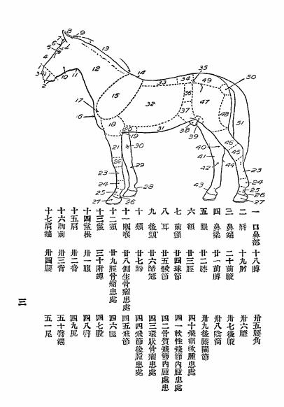 相马指要-沈厚龢译述-岭南农科大学出版处插图2