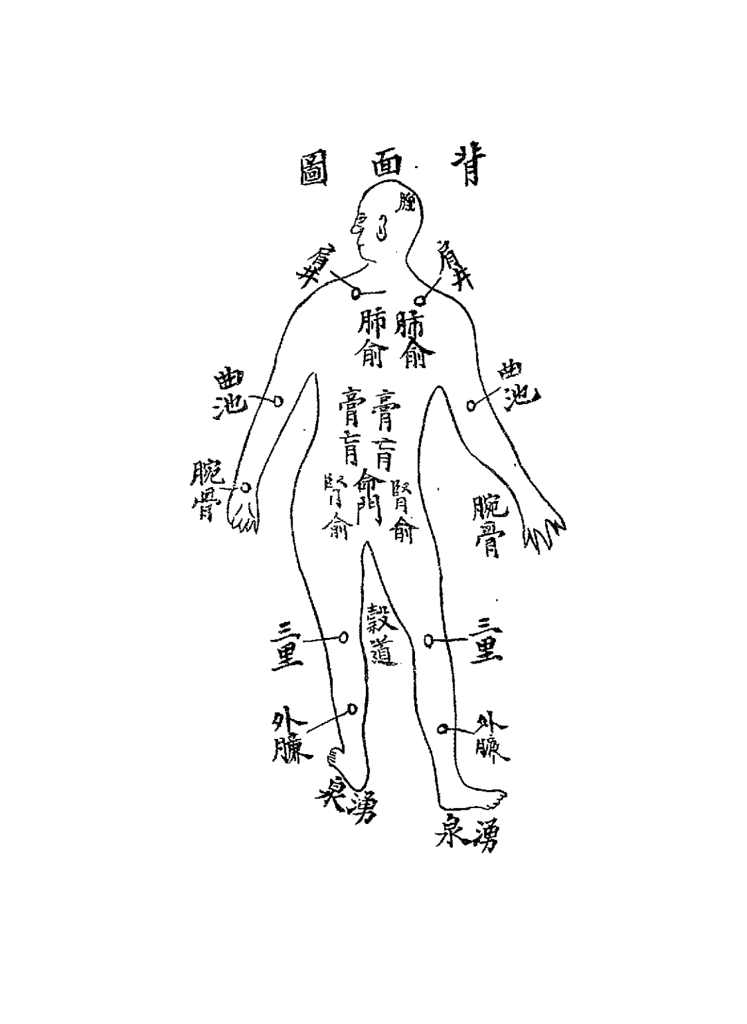 经验寿世良方PDF中医古籍验方下载，唐星枢著插图1