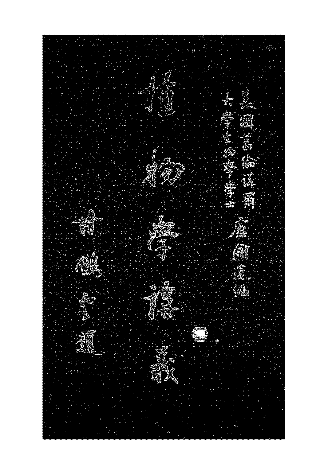 植物学讲义卢开运PDF下载插图